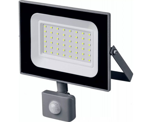 STAYER 50 Вт, LED-Max, c датчиком движения, прожектор светодиодный 57133-50 Master