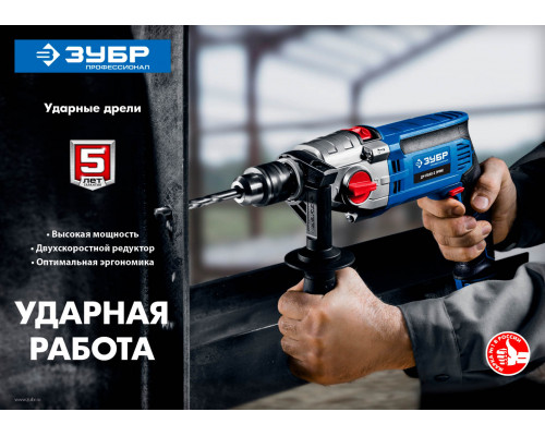ЗУБР 850 Вт, дрель ударная ДУ-П850-2 ЭРМ Профессионал