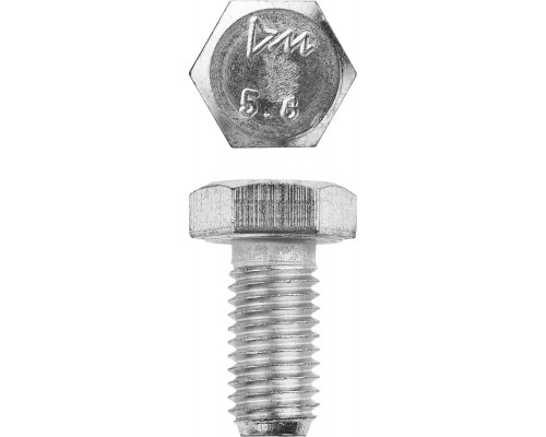 ЗУБР M12 x 20 мм, 5 кг, оцинкованный, болт ГОСТ 7798-70 303080-12-020