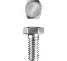 ЗУБР M5 x 10 мм, 5 кг, оцинкованный, болт ГОСТ 7798-70 303080-05-010
