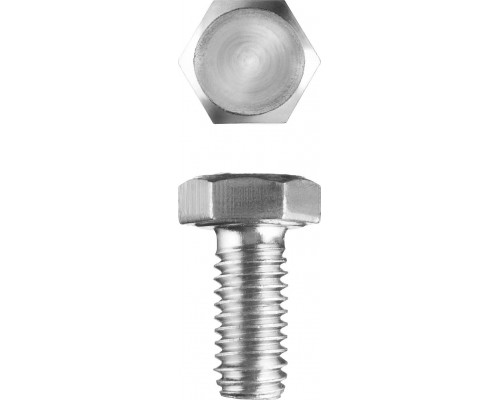 ЗУБР M5 x 10 мм, 5 кг, оцинкованный, болт ГОСТ 7798-70 303080-05-010