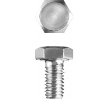 ЗУБР M6 x 10 мм, 5 кг, оцинкованный, болт ГОСТ 7798-70 303080-06-010