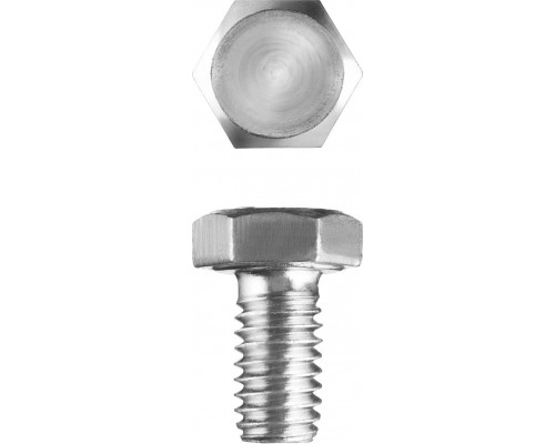 ЗУБР M6 x 10 мм, 5 кг, оцинкованный, болт ГОСТ 7798-70 303080-06-010