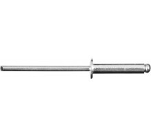 ЗУБР 4.8 х 20 мм, AlMg3, 250 шт., заклепки алюминиевые 31305-48-20